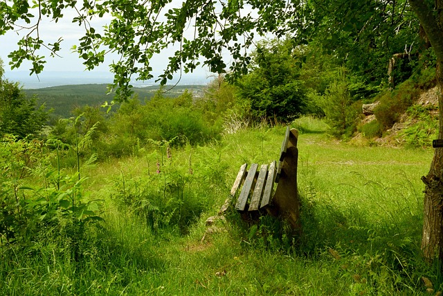 在现实层面 在现实层面