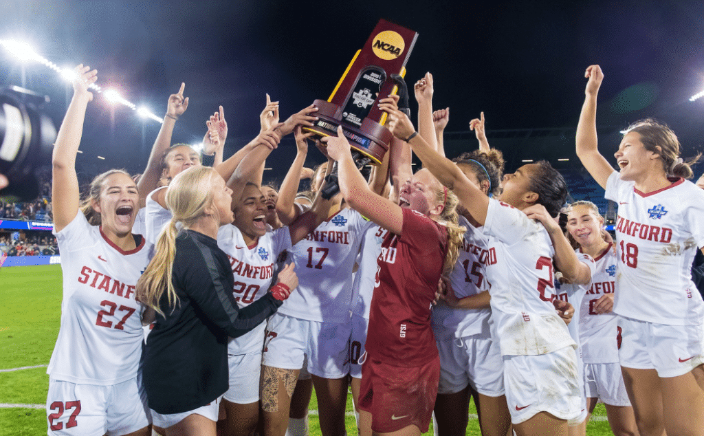 年轻选手的 年轻选手的