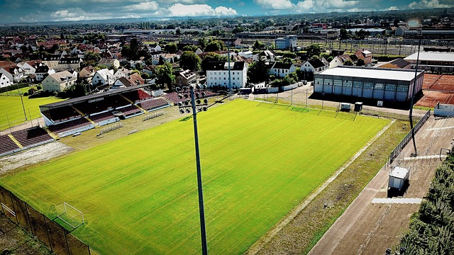 現強烈的求 現強烈的求