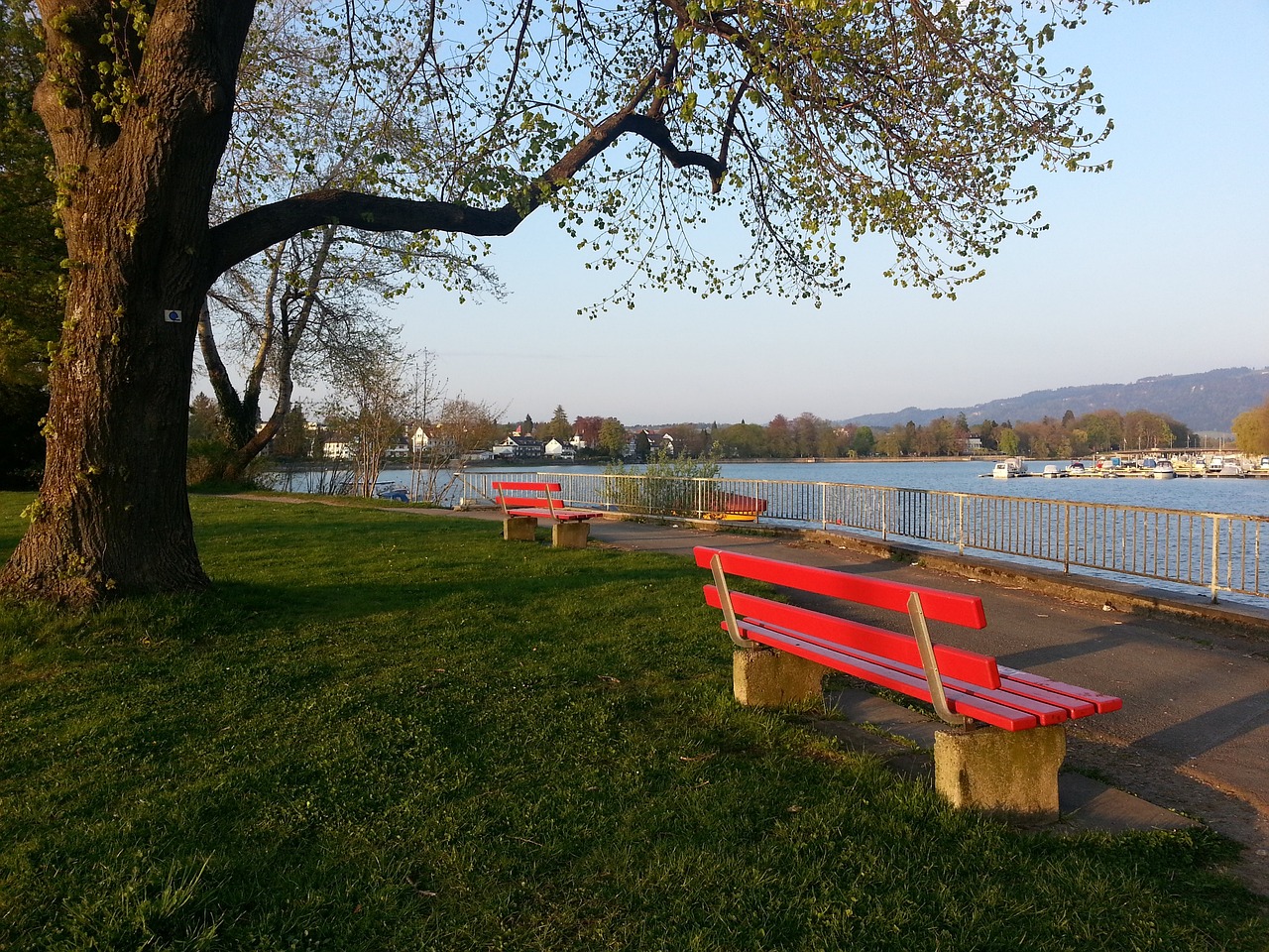 球迷認為 球迷認為